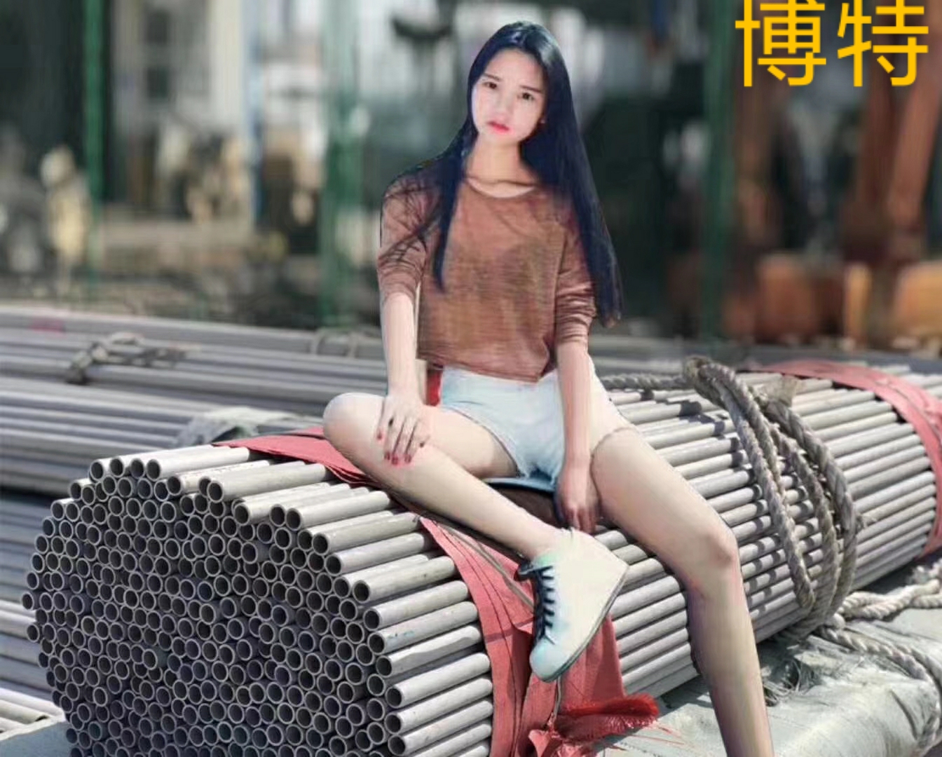 博特合金钢制管涡流探伤设备(图1)